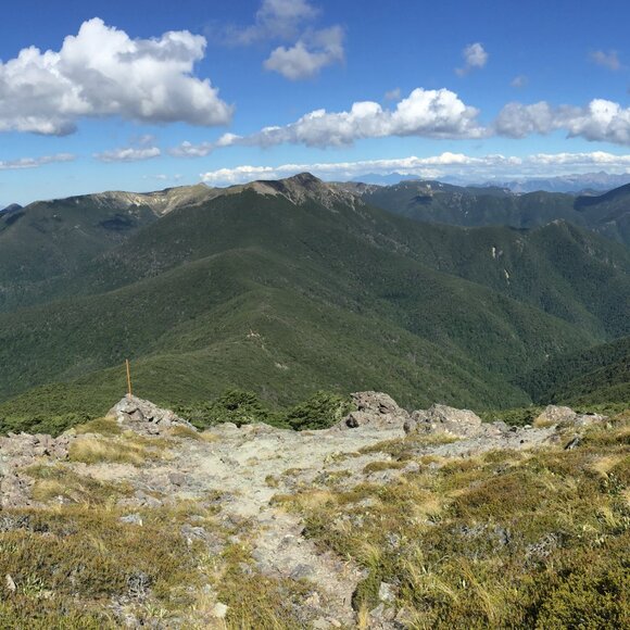 Meet your Posher, Sara - Picture 10 of 14